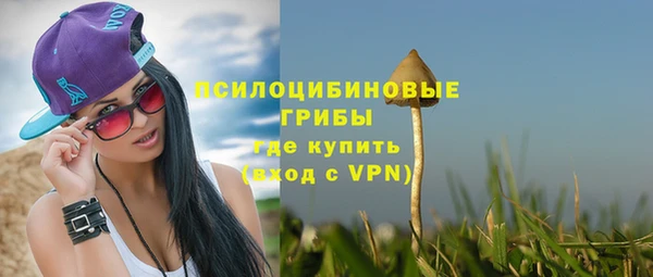 тгк Абаза