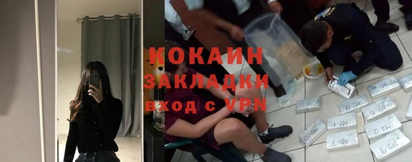 дживик Алзамай