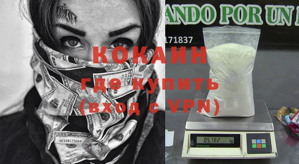 дживик Алзамай